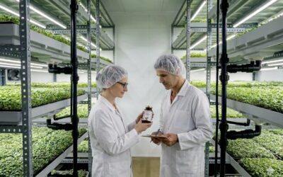 Por qué después de Som Greens decidí montar otra marca de nutrición